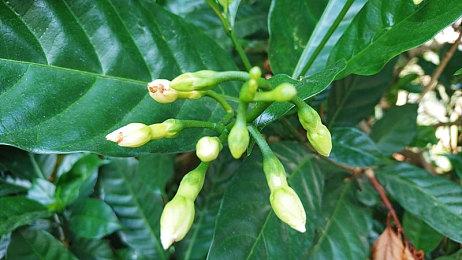 《幻想三国志-天元异事录》公开 试玩版2022年1月推出